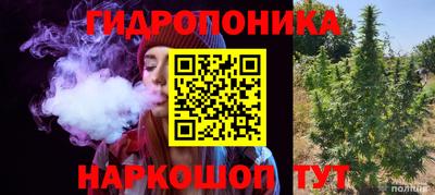 СК Заводоуковск